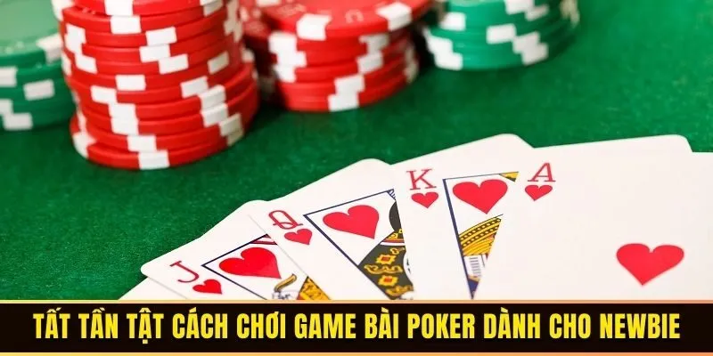 Game Bài Poker - Hướng Dẫn Cách Chơi Dành Cho Tân Thủ 3 Tất tần tật cách chơi Game Bài Poker dành cho Newbie